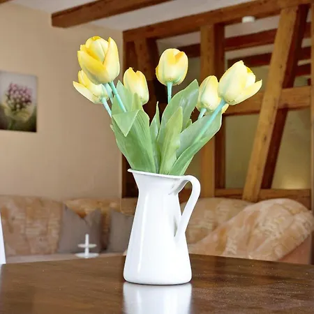 Strempel Apartamento *